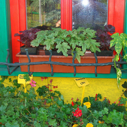 Geschmiedeter Fensterblumentopfhlter im Dorfstil