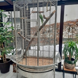 Exclusive handmade parrot cage made of brushed stainless steel